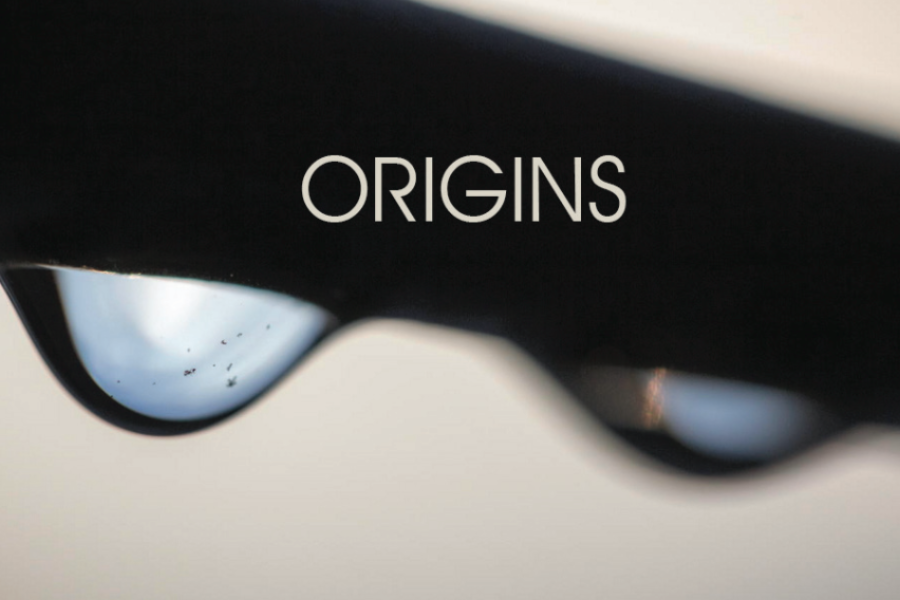 “Origins”: 25 opere d'arte per l'ospedale