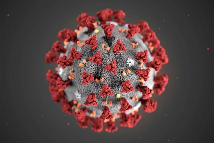 Coronavirus, tutto quello che c’è da sapere